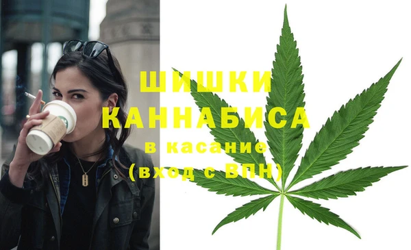 сатива Надым