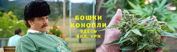 сатива Надым