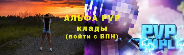 сатива Надым