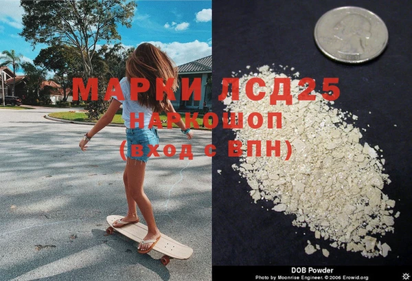 сатива Надым