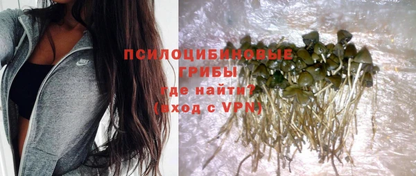 сатива Надым