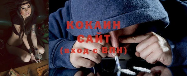 сатива Надым