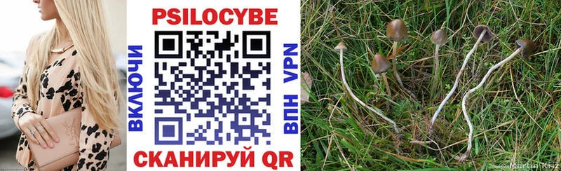 Галлюциногенные грибы мухоморы  Купить закладки  Приволжский 